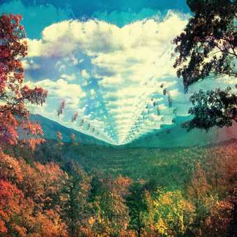 Innerspeaker      Lp